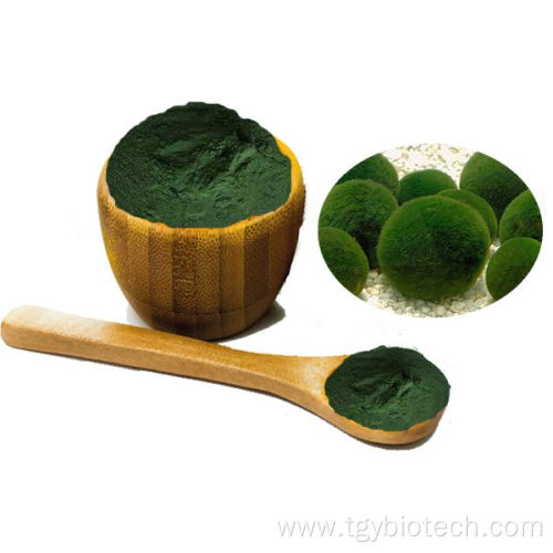 Pure Vulgaris Chlorella Powder / Chlorella Extract Powder